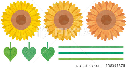 向日葵和葉子/裝飾線材料套裝：適用於夏季標題和橫幅的植物插圖 138395876