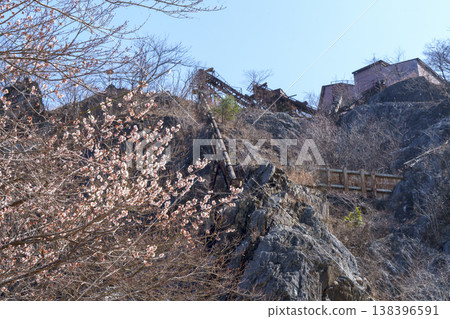 Iwato Mine Site 138396591