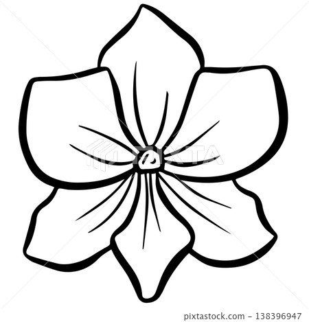 Simple floral flower heads wildflower outline clipart vector illustration Simple floral flower heads wildflower outline clipart vector illustration 138396947