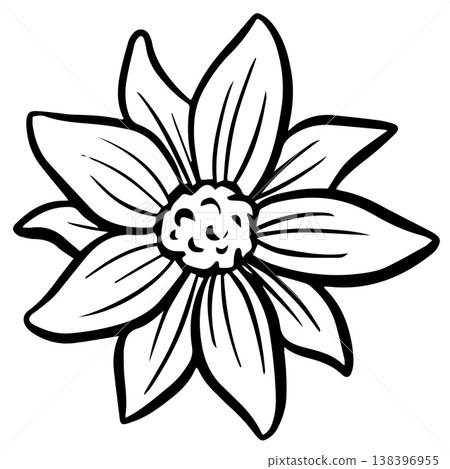 Simple floral flower heads wildflower outline clipart vector illustration Simple floral flower heads wildflower outline clipart vector illustration 138396955