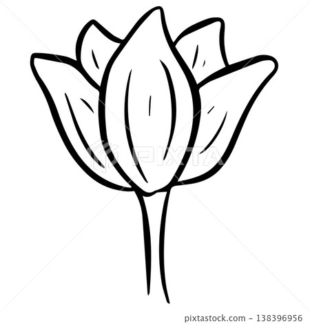 Simple floral flower heads wildflower outline clipart vector illustration Simple floral flower heads wildflower outline clipart vector illustration 138396956