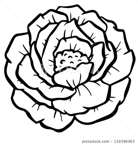 Simple floral flower heads wildflower outline clipart vector illustration 138396963