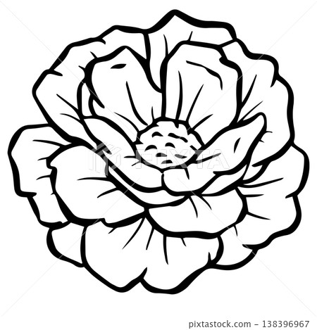 Simple floral flower heads wildflower outline clipart vector illustration Simple floral flower heads wildflower outline clipart vector illustration 138396967