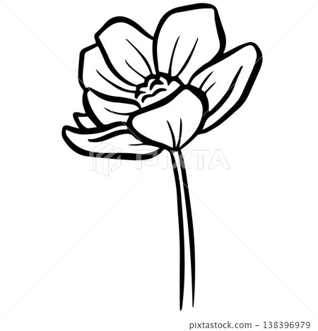 Simple floral flower heads wildflower outline clipart vector illustration 138396979