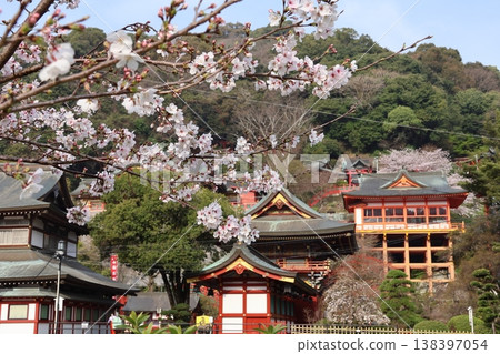 佐賀縣鹿島市的佑德稻荷神社和櫻花 佐賀縣鹿島市的佑德稻荷神社和櫻花 138397054