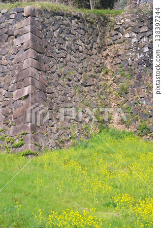 The outer moat of Nagoya Castle and rapeseed flowers in full bloom The outer moat of Nagoya Castle and rapeseed flowers in full bloom 138397244