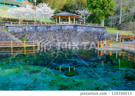 A spring landscape unfolds along the waterside of Maruike Spring (one of Japan's Top 100 Famous Waters), a refreshing location in the season. 138398013
