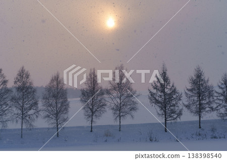 A fantastical winter scene in Hokkaido, with snow-covered trees and soft light. 138398540