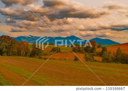 A wilderness bathed in the setting sun 138398667