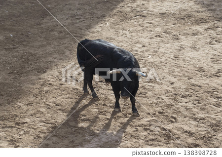 image of a brave bull in the arena of the ring 138398728
