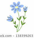 blue cornflower flower. Doodle style illustration on white background. 138399263