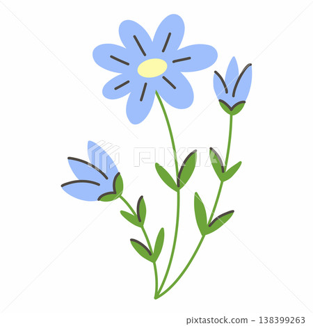 blue cornflower flower. Doodle style illustration on white background. 138399263