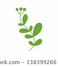 green twig of plant for decoration of postcard. Doodle style illustration 138399266