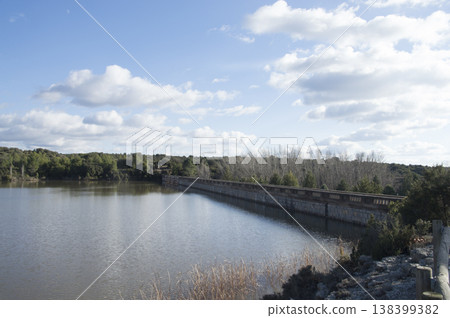 images of the swamp on a sunny summer day images of the swamp on a sunny summer day 138399382