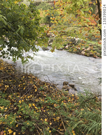 vegetation around the mighty river fed by torrential rains 138399814