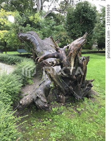 trunk of an old tree fallen on the grass trunk of an old tree fallen on the grass 138399869