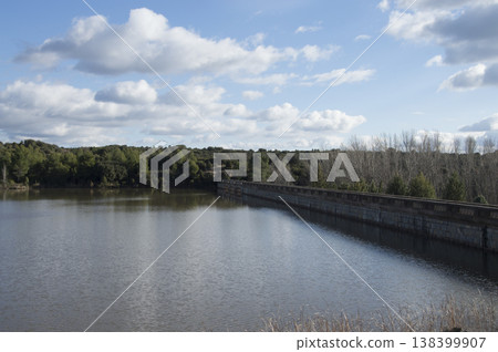 images of the swamp on a sunny summer day images of the swamp on a sunny summer day 138399907