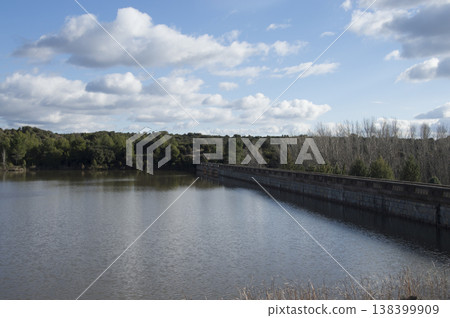 images of the swamp on a sunny summer day 138399909