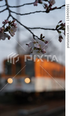 櫻花盛開之外的近江鐵道 138400691