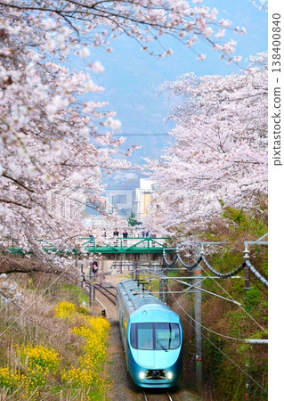 維梅爾的《藍色浪漫車》和山北的櫻花樹 維梅爾的《藍色浪漫車》和山北的櫻花樹 138400840
