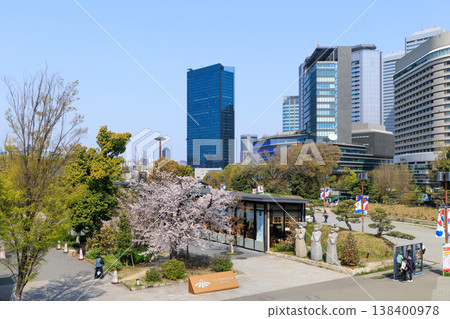 Osaka Castle's castle terrace and cherry blossoms in full bloom in spring. 138400978