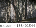 The tall brick wall serves as a stark backdrop for the distorted shadows of nearby foliage. Cast at a low angle by the sun, these dark, elongated patterns drape across the surface, turning the 138401544