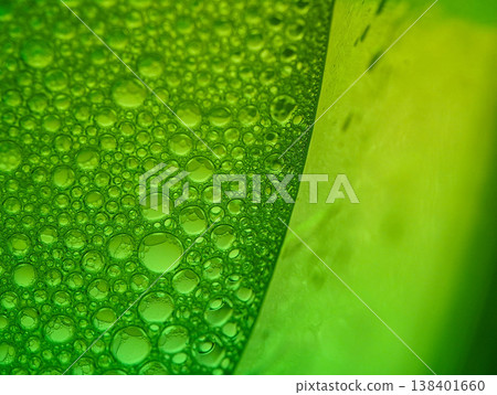 Close-up view of numerous green bubbles of various sizes on a green background with a gradient effect and shallow depth of field. Close-up view of numerous green bubbles of various sizes on a green background with a gradient effect and shallow depth of field. 138401660
