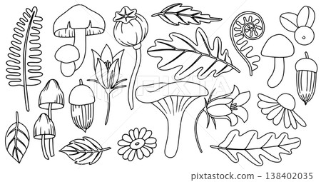 set of autumn outline elements. mushrooms, flowers and leaves. coloring book set of autumn outline elements. mushrooms, flowers and leaves. coloring book 138402035