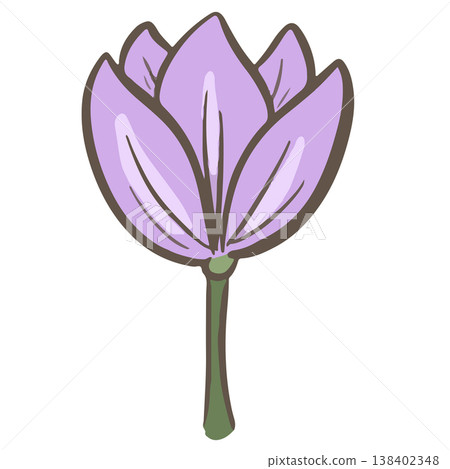 Simple floral flower heads pretty wildflower outline clipart vector illustration Simple floral flower heads pretty wildflower outline clipart vector illustration 138402348