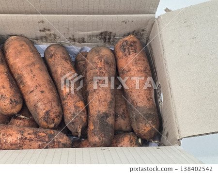 fresh carrots with dirt on them fresh carrots with dirt on them 138402542