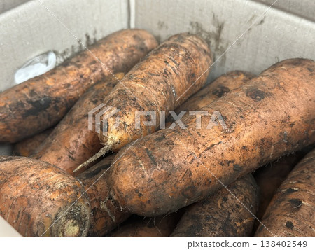 fresh carrots with dirt on them fresh carrots with dirt on them 138402549