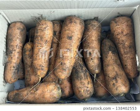 fresh carrots with dirt on them 138402553