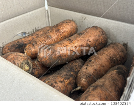 fresh carrots with dirt on them 138402554