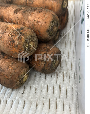 fresh carrots with dirt on them fresh carrots with dirt on them 138402558