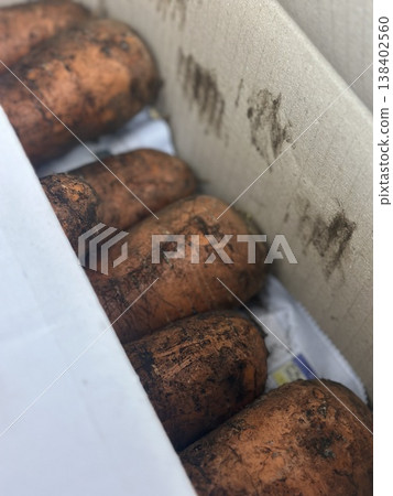 fresh carrots with dirt on them 138402560