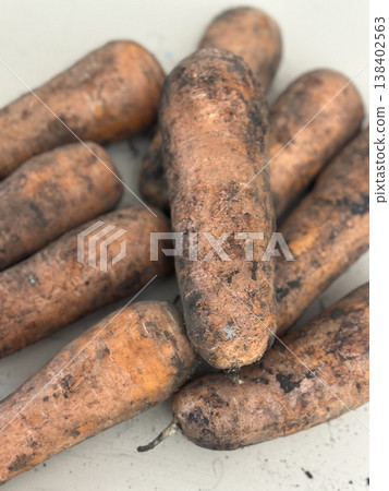 fresh carrots with dirt on them fresh carrots with dirt on them 138402563