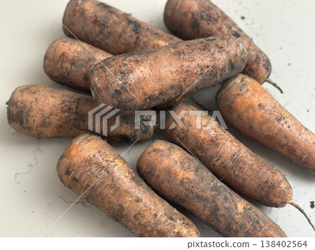 fresh carrots with dirt on them fresh carrots with dirt on them 138402564