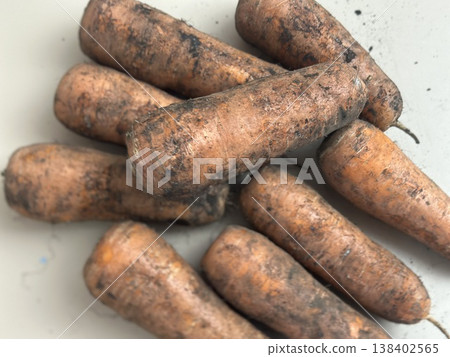 fresh carrots with dirt on them fresh carrots with dirt on them 138402565