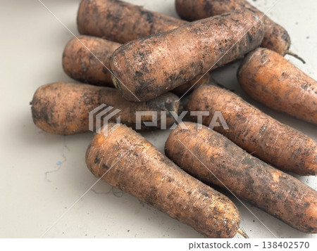 fresh carrots with dirt on them fresh carrots with dirt on them 138402570