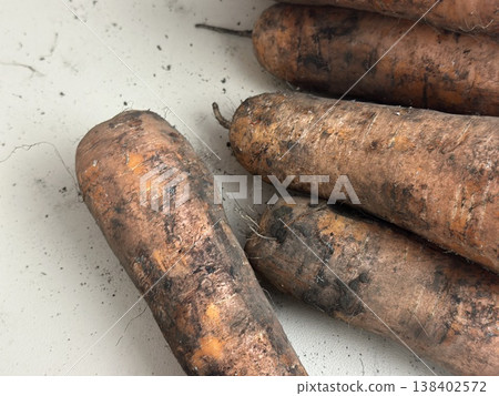 fresh carrots with dirt on them 138402572