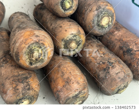 fresh carrots with dirt on them fresh carrots with dirt on them 138402573