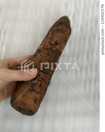 fresh carrots with dirt on them fresh carrots with dirt on them 138402576