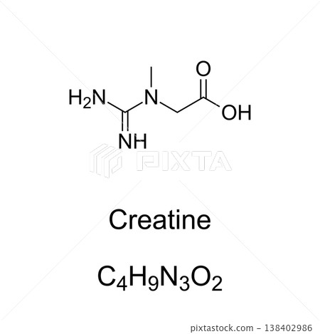 Creatine, chemical formula and molecular structure of the neutral form. Organic compound that facilitates recycling of adenosine triphosphate, ATP, primarily in muscle and brain tissue. Vector Creatine, chemical formula and molecular structure of the neutral form. Organic compound that facilitates recycling of adenosine triphosphate, ATP, primarily in muscle and brain tissue. Vector 138402986