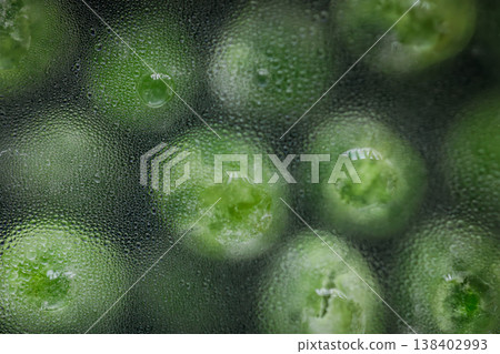 Macro shot of water droplets forming on green beans during the thawing process Macro shot of water droplets forming on green beans during the thawing process 138402993