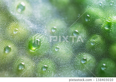 微距拍攝青豆在解凍過程中凝結的水珠 138403010