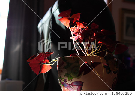 Purple Shamrock Houseplant In Sunlight And Dust Motes 138403299