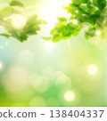 Spring blurred background, young greenery, sky, sun rays 138404337