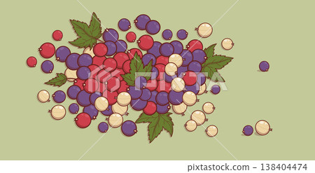 Fresh Mixed Currant Harvest with Red, Black and White Berries and Leaves. Top View of Eco Fruit Harvest on Green Background. Vector Illustration Fresh Mixed Currant Harvest with Red, Black and White Berries and Leaves. Top View of Eco Fruit Harvest on Green Background. Vector Illustration 138404474