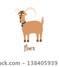 Vector illustration of a cute ibex with big horns. 138405939