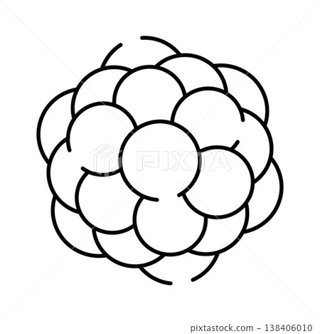 Cell cluster or biological molecular structure icon Cell cluster or biological molecular structure icon 138406010